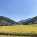 리을풀빌라2 이미지