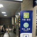 씨티카써비스 | 춘천 당일치기 여행 춘천시티투어버스, 남이섬, 막국수 닭갈비 축제 삼악산케이블카 다녀온 후기