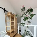 낭만가옥 이미지