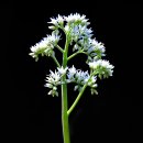 달맞이 펜션 이미지