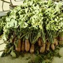 (주)황금농장 이미지