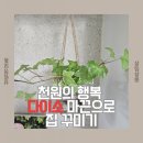 마크라메 플랜트 행잉 DIY | 다이소 마 끈 + 빈병으로 금손 등극? 초간단 행잉플랜트 DIY, 인테리어 쌉가능!