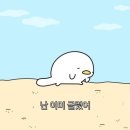 케빈리 | 방이시장 방문기: 닭강정아, 케빈분식호떡 후기 [내돈내산]