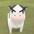 삼성안경 이미지