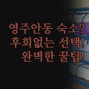 크리스탈모텔 | 영주 안동 숙소 후기 비교 | 친절한 크리스탈모텔 | 신축 영주 드라마 | 편리한 넘버25 | 완벽한 숙소...
