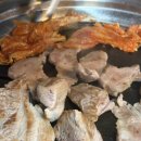 암돼지한마리 이미지