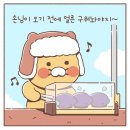 마이캐롤케이크 | 🎄 춘식이 덕후 모여라! 캐롤 들으며 먹은 ‘초코춘식 가나슈 케이크’ 리얼 시식 후기 🍰✨