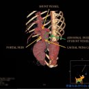 Dr.DOG 동물의료센터 이미지