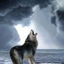 먹어야산다 이미지