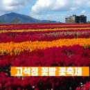 송학장터관리사무소 | 철원 고석정 꽃밭 꽃축제 후기! 반값 입장으로 가을 힐링 두배