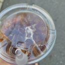 CU 송림오거리점 이미지