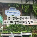 행정용 46번 | 폐자원순환)수원행궁동 커피박 &amp; 바질 무료로 받기