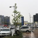 디디동물병원 이미지