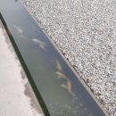 바른면옥