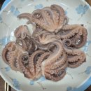 백호좌대 이미지