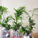 김제동초등학교 이미지