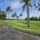 타이시즌 이미지