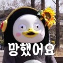 신장쇼핑몰2 이미지