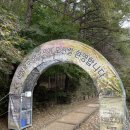 억새꽃 맛집 | 10월 명성산 억새 억새꽃축제 후기 억새명소