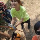 북이초등학교 이미지