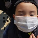 숲생태유치원 이미지