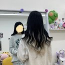 아니마레