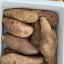 합심농장 이미지