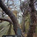 관악산 무장애숲길 이미지