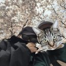 오돌꼬돌사천점