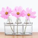 레이카운티 1단지 이미지