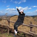 축제코스 | 강원도 정선 민둥산 등산 억새축제 초보자 코스 산행후기