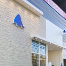 사상역 카페 아기상어가 귀여운 블루샥 부산사상점