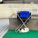 오아시스 메디칼