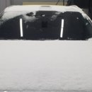 Art Zombie 이미지