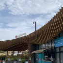 순천만 갈대숲 호스텔 | [순천 여행] 순천만국가정원 &amp; 순천만습지 주차장 스카이큐브 갈대열차 운영시간 입장권 꿀팁