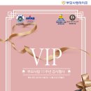 상조 전문 회사, 부모사랑라이프의 올해 마지막 이벤트! 11월, 12월 VIP 이벤트!! 이미지
