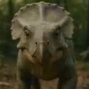 프로토케라톱스 | 1020-1027::우리가 빛이라 상상하는 모든 것