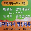 리얼태권도장 티스토리