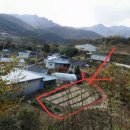 월성농장 이미지