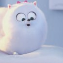 [2시간 미니어학연수 후기] 20161031_강찬희_The secret life of pets 이미지