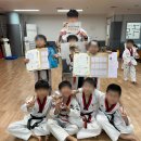 경희대극동태권도