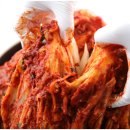 임실서초 이미지