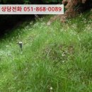 인곡리도로변 네이버블로그
