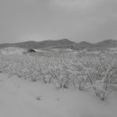 하얀농장 이미지