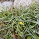 한들방죽공원 이미지