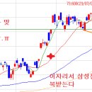 화신피혁 이미지