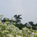 닥치고푸드