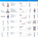 3세트짐 체형교정센터 이미지