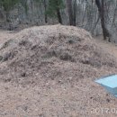 광성정비 이미지