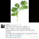 고수 - 의정부시 평화로 252 | 고수